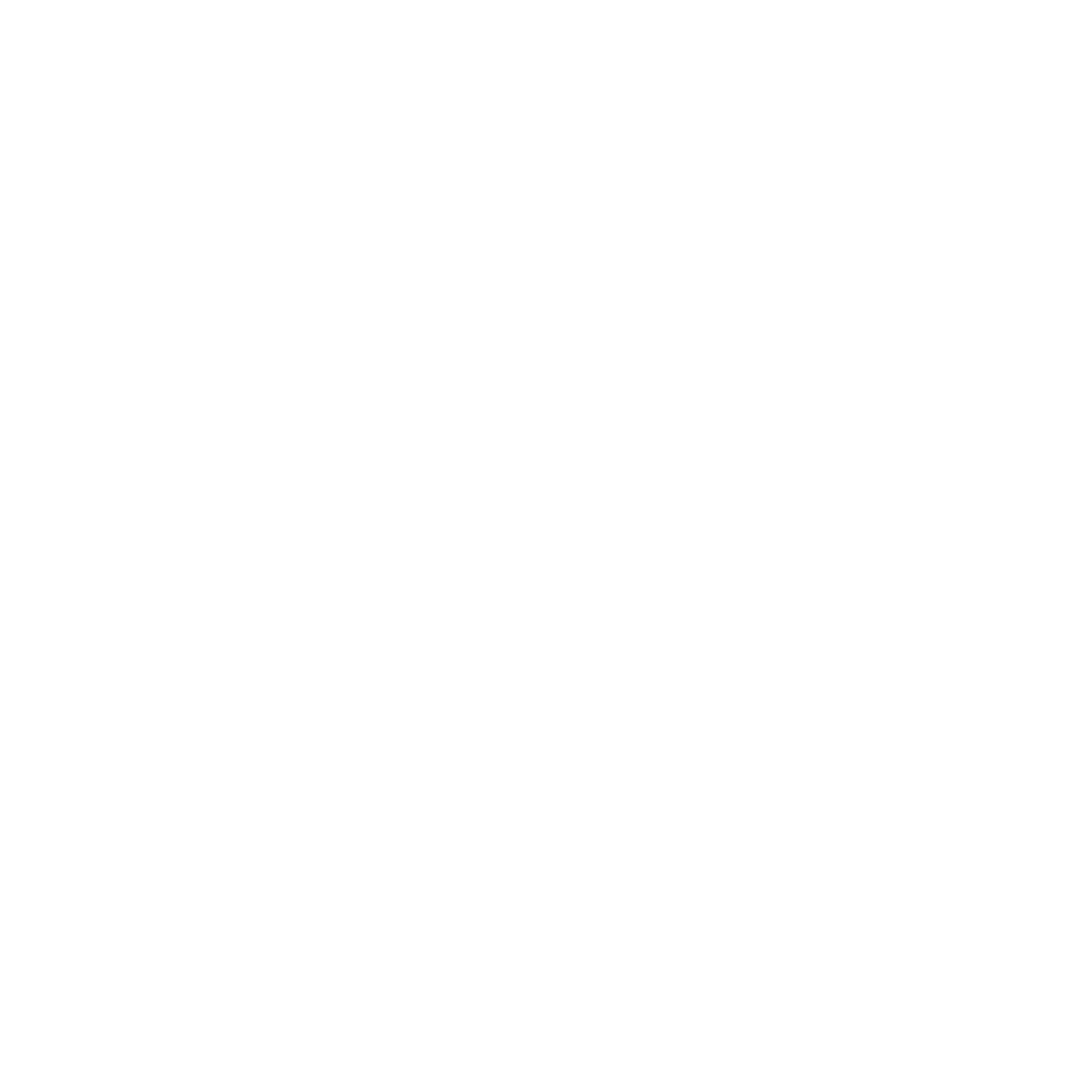 LS Consultoria Júnior