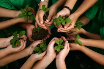 Educação ambiental no meio empresarial