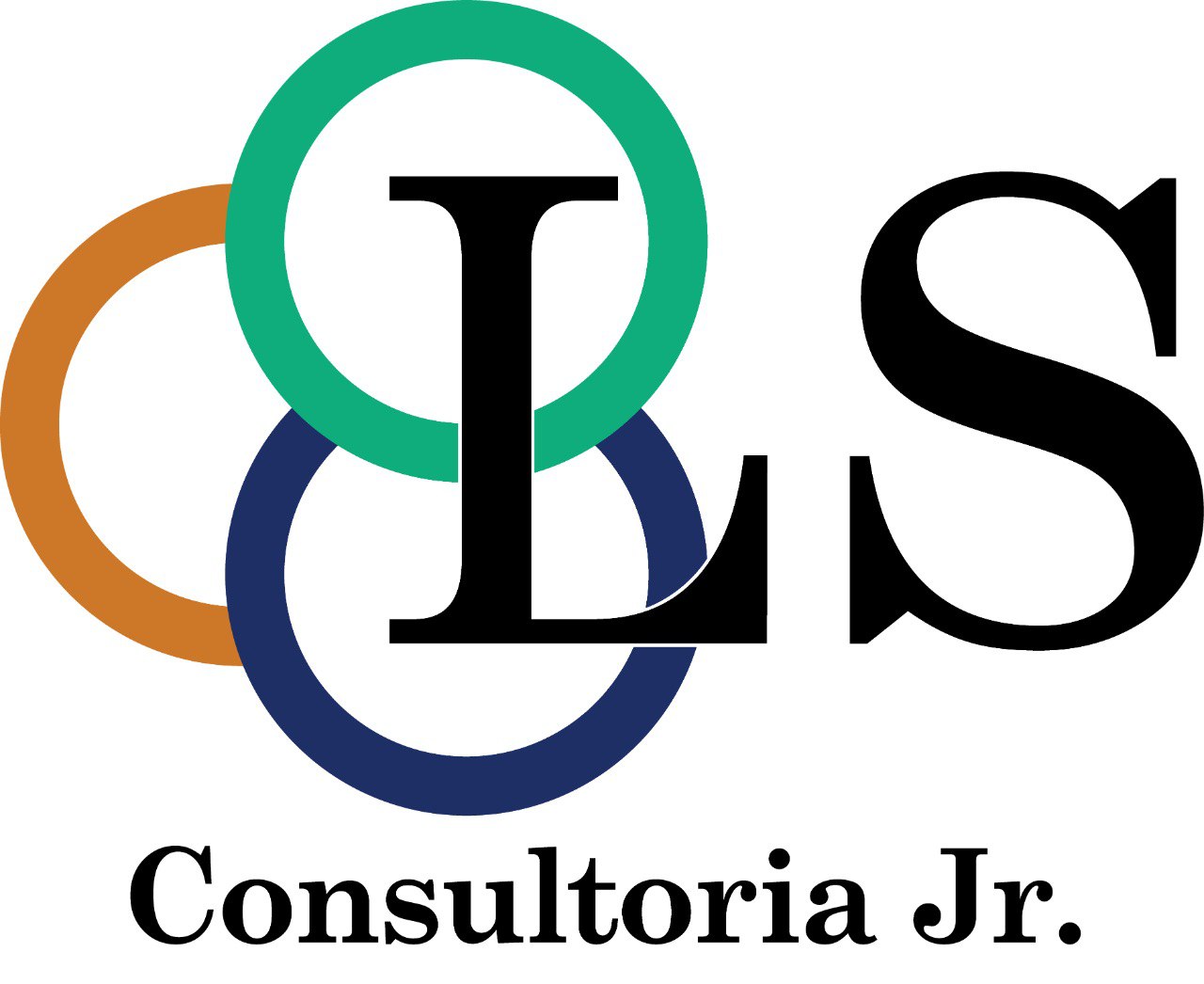 LS Consultoria Júnior